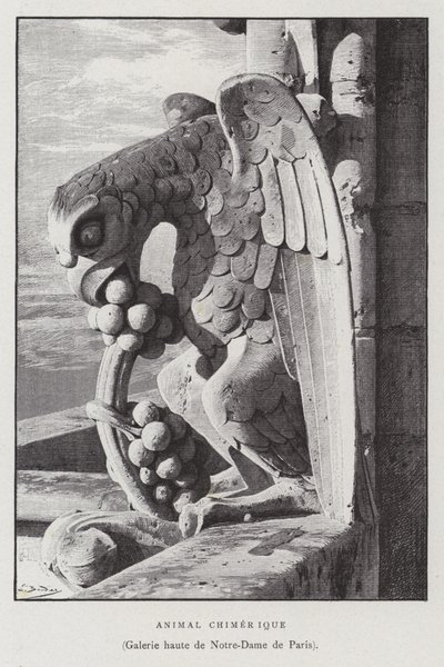 Figur eines chimärenartigen Tieres, aus der oberen Galerie von Notre Dame de Paris von French School
