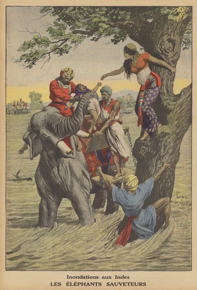 Überschwemmungen in Indien von French School