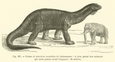 Form und wahrscheinliche Größe des Atlantosaurs, das größte Tier, das je existiert hat, Länge 35 Meter von French School