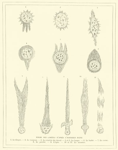Formen von Kometen nach dem Historiker Plinius (Stich) von French School