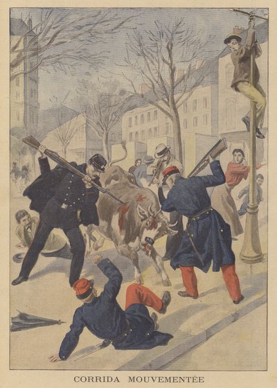 Französische Soldaten und Polizisten töten eine entlaufene Kuh in Limoges von French School