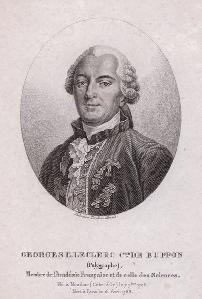 Georges-Louis Leclerc, Comte de Buffon, französischer Wissenschaftler und Schriftsteller (Stich) von French School