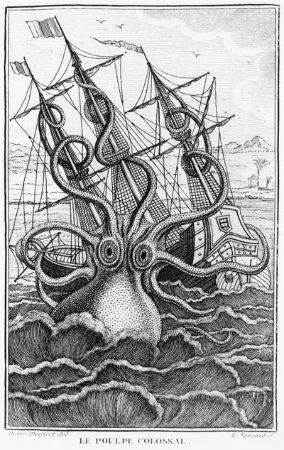 Riesiger Oktopus, Illustration aus L