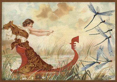 Mädchen wird von Maifliegen durchs Wasser gezogen von French School