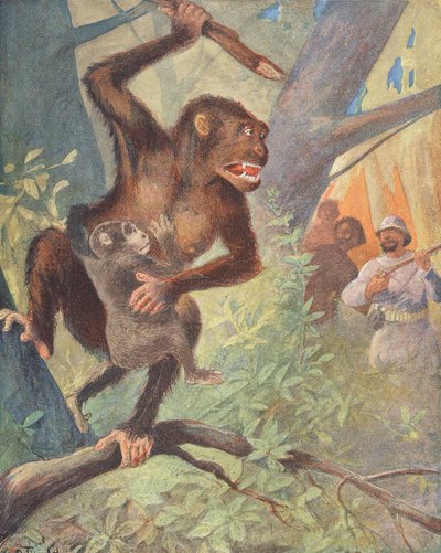 Gorillas von French School