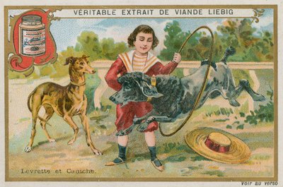 Windhund und Pudel von French School
