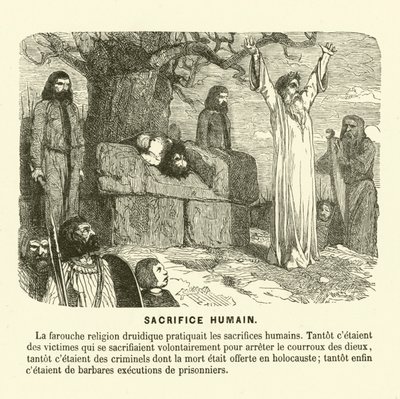 Menschenopfer der Druiden von French School