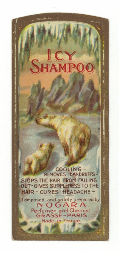 Icy Shampoo Etikett, Nogara von French School