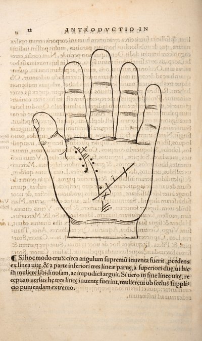 Illustration aus Chiromantia von Joannes Indagioe, Straßburg, 1531 von French School
