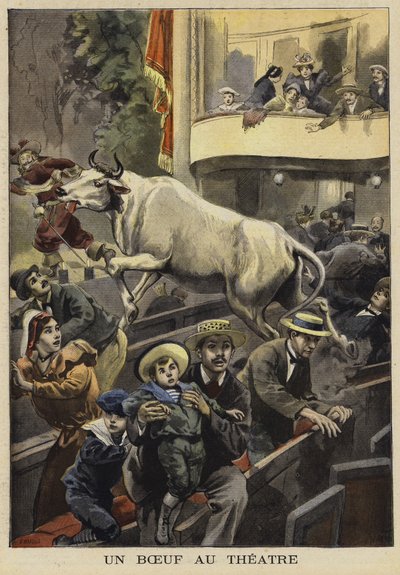 Unterbrechung einer Theateraufführung durch einen Ochsen, Villefranche-de-Lauragais, Frankreich, 1897 von French School