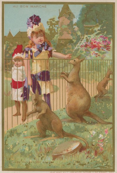 Kängurus im Zoo von French School