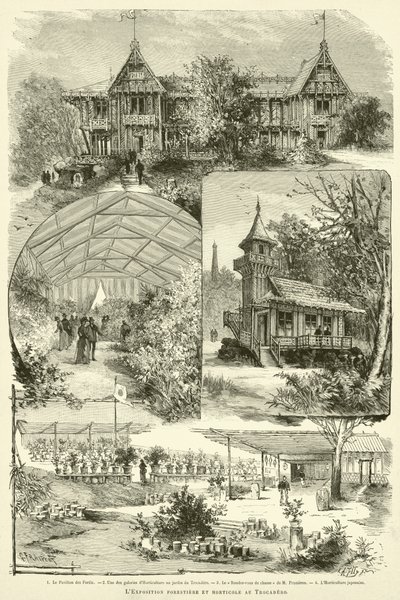 Die Forst- und Gartenbauausstellung im Trocadero von French School