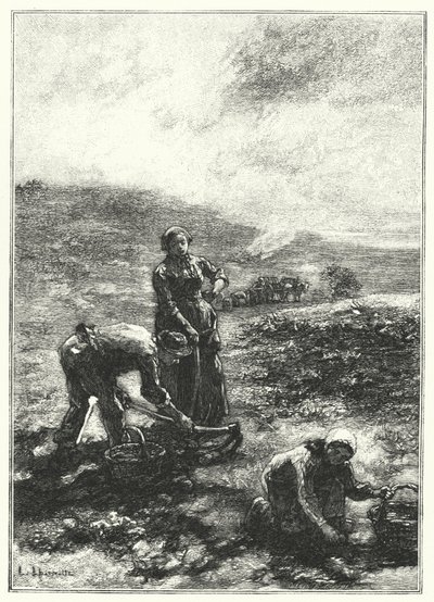 Die Kartoffelernte von French School