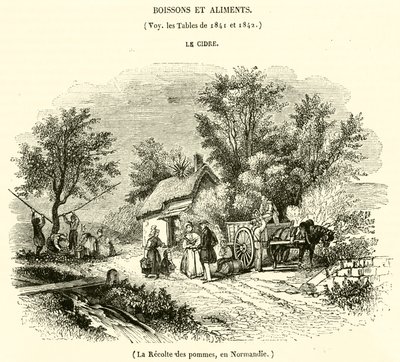 Apfelernte in der Normandie von French School