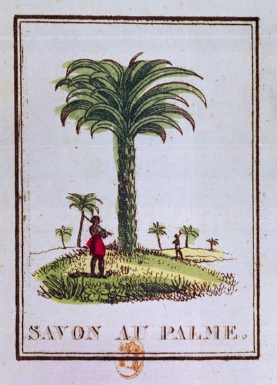 Etikett für eine Palmöl-Duftseife, Darstellung einer Palme von French School