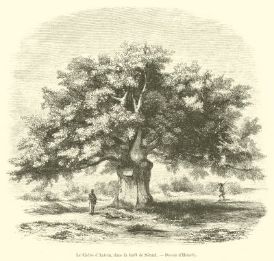 Die Eiche von Antein im Wald von Senart von French School