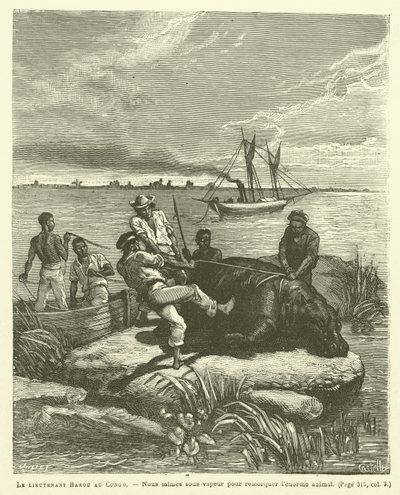 Leutnant Harou im Kongo (Stich) von French School