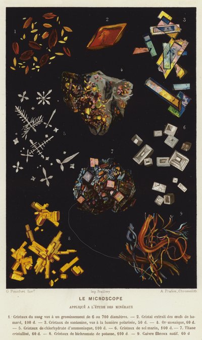 Das Mikroskop, angewendet auf das Studium der Mineralien (Farblithografie) von French School