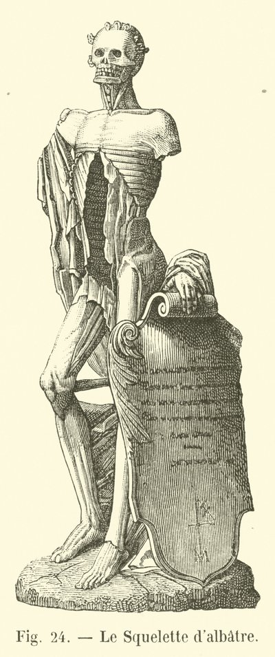 Das Alabasterskelett von French School
