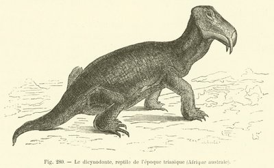 Der Dicynodont, Reptil der Triaszeit, Südafrika (Gravur) von French School