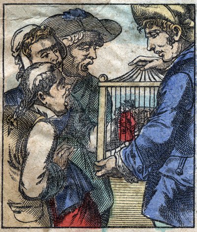 Lemuel Gulliver, in einem Käfig, wird den Riesen von Brobdingnag gezeigt. Illustration für „Gullivers Reisen“ von Jonathan Swift (1667-1745). Epinal Imaging Ende des 19. Jahrhunderts. von French School