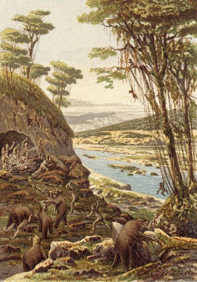 Die ersten Zeitalter der Menschheit, Epoche des Höhlenbären (Farblithographie) von French School