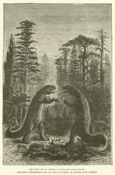 Die Könige der Erde in der Jurazeit von French School