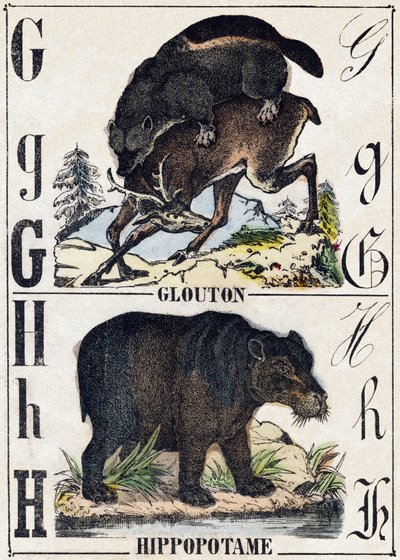 Buchstabe G Vielfraß; H Nilpferd. Gravur in "Alphabet der wilden Tiere". 9. Serie. Bildersammlung von Epinal, Pellerin, Drucker-Verleger, um 1870 von French School
