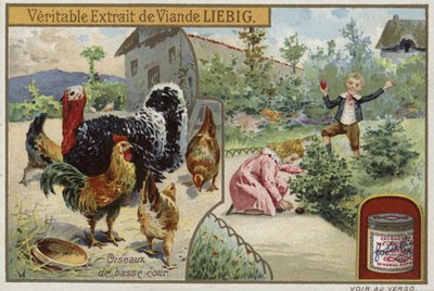 Liebig-Karte mit Geflügel von French School