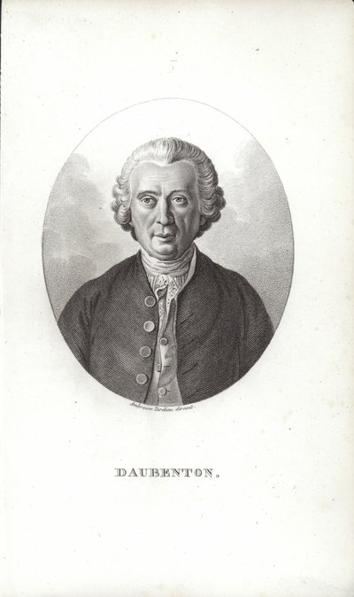 Louis-Jean-Marie Daubenton von French School