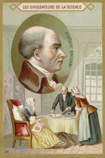 Luigi Galvani, Italienischer Arzt und Physiker von French School