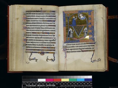 David betet zu Gott, aus dem Psalter und Stundenbuch der Isabella von Frankreich, Paris, um 1265-70 von French School