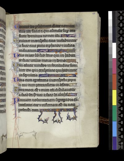Folio aus dem Psalter und Stundenbuch der Isabella von Frankreich, Paris, um 1265-70 von French School