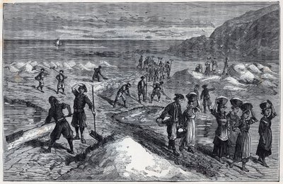 Salzgärten der Bretagne im 19. Jahrhundert - Kupferstich in „Wissenschaften für alle - Physik und Chemie“ von Alexis Clerc - Spätes 19. Jahrhundert - Private Sammlung von French School