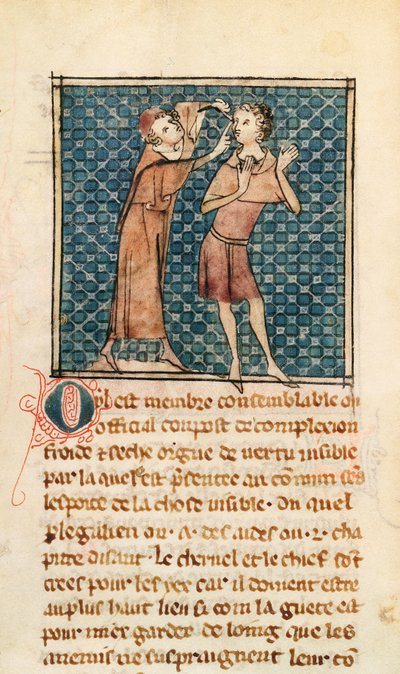 Augenheilkunde, Illustration aus La Chirurgie de Maitre Henri de Mondeville von French School