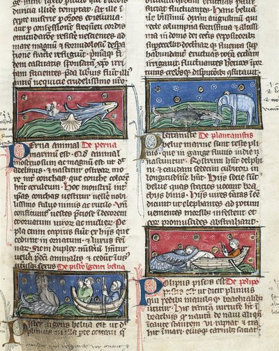 Ms 320 Fol.116 Seemonster, aus 