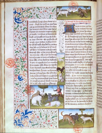 Jagdhunde, aus dem Livre de la Chasse von Gaston Phebus de Foix (1331-91) von French School