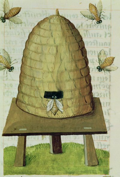 Ms 59 fol.111r Bienenstock und Bienen, aus Grand Herbier von French School