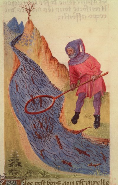 Fischer, aus Grand Herbier von French School