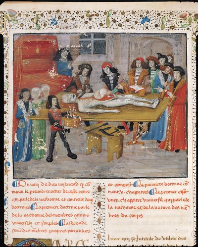 Ms H 184 fol.14v Sezierstunde an der medizinischen Fakultät in Montpellier, aus 
