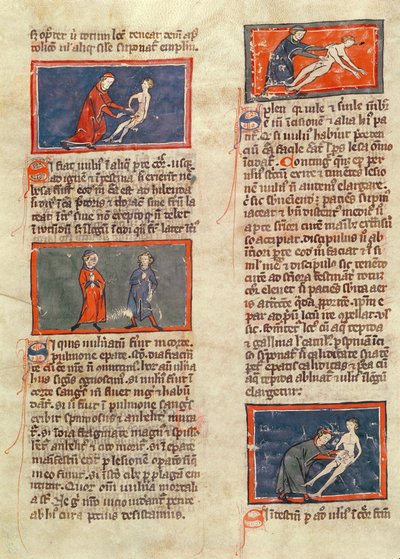 Ms H 89 fol.21v Anatomische Figuren, aus einer Ausgabe des 