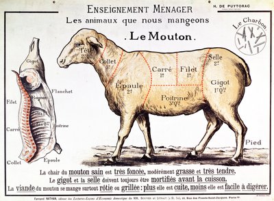 Hammelfleisch: Diagramm der verschiedenen Fleischstücke von French School