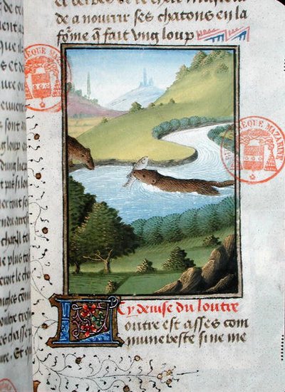 Otter fängt einen Fisch, aus dem Livre de la Chasse von Gaston Phebus de Foix von French School