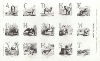 Seite aus Vignettes Typographiques (Gravur) von French School