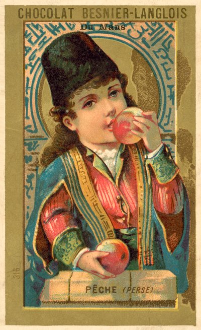 Pfirsiche aus Persien von French School