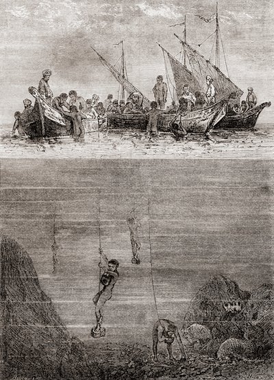 Perlentaucher vor der Küste der Insel Ceylon im 18. Jahrhundert, aus 