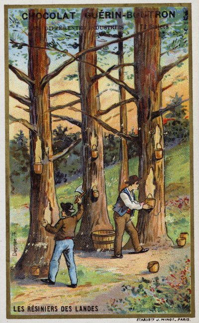 Harzsammler in den Landes, Frankreich von French School
