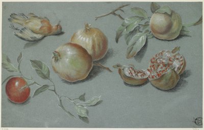 Granatäpfel und toter Vogel, frühes 19. Jahrhundert von French School