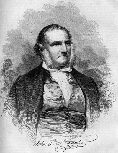 Porträt von John James Audubon (1780-1851), amerikanischer Ornithologe. Gravur in „Le Magasin pittoresque“ von French School
