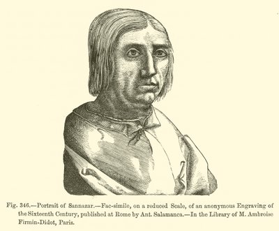 Porträt von Sannazar von French School